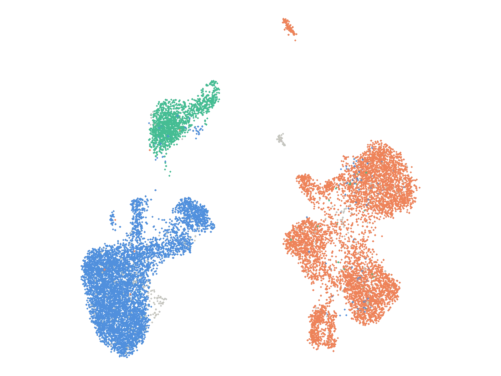 UMAP of 13,836 blood cells coloured by lineage: T and NK cells, monocytes and dendritic cells, B cells